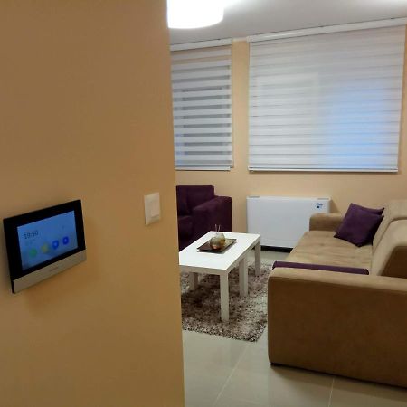 Apartment Cherry Gold ズレニャニン エクステリア 写真